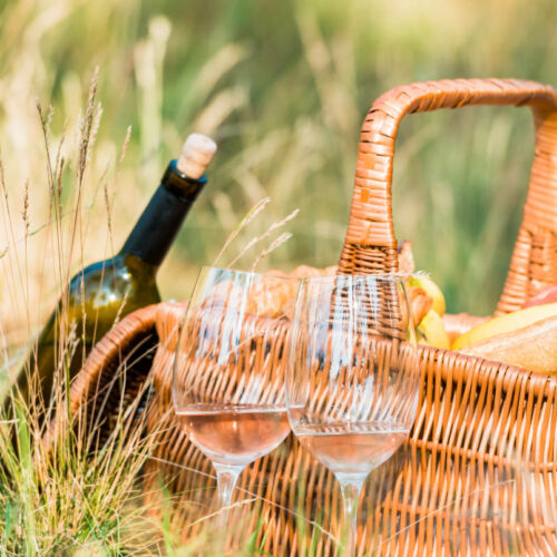 picnic basket in the vineyard, with bottle of wine and glasses of wine for an experience or activity (experience)